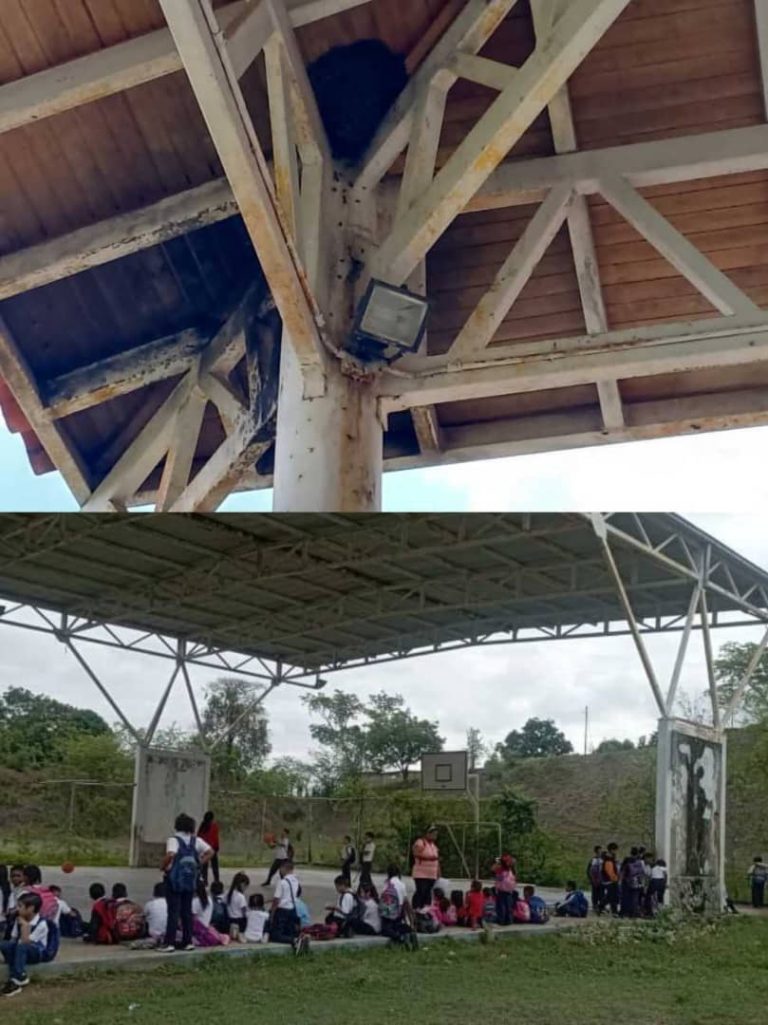 Abejas paralizan a la UENB Libertador Simón Bolívar en Cúa