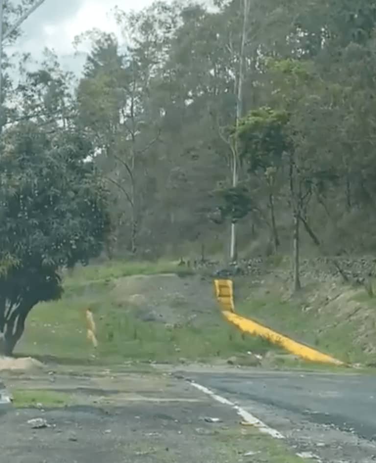 Rampas de frenado cubiertas de vegetación preocupan a usuarios de la ARC – Miranda