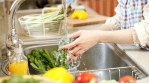7 De JUNIO DIA MUNDIAL DE LA INOCUIDAD DE LOS ALIMENTOS