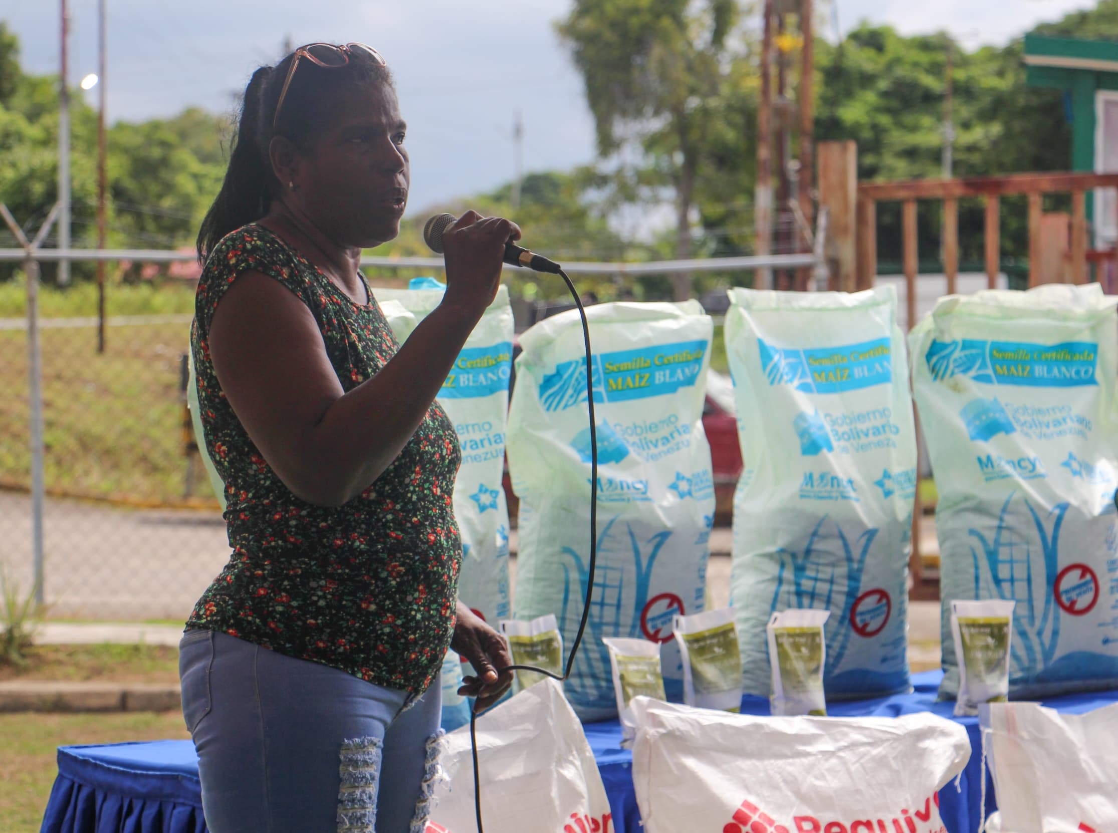 Entregan semillas de maíz blanco a 150 productores y comuneros de Barlovento