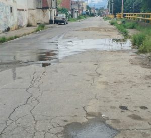 Vecinos de Santa Teresa del Tuy exigen reparación urgente de fuga de agua limpia en avenida principal