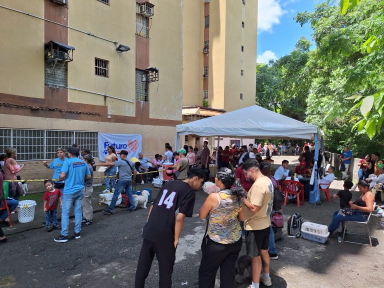 Aplican vacunas Séxtuple y Triple Felina a perros y gatos de Cúa