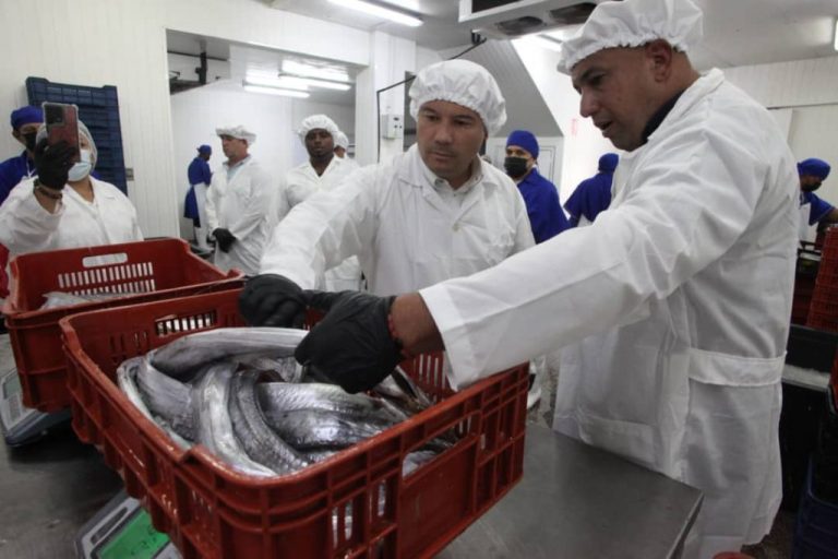 Miranda exporta 24 toneladas de tajalí a China desde Barlovento