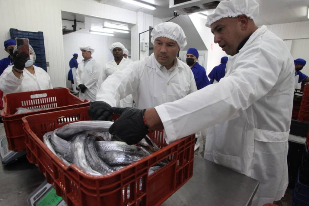 Miranda exporta 24 toneladas de tajalí a China desde Barlovento