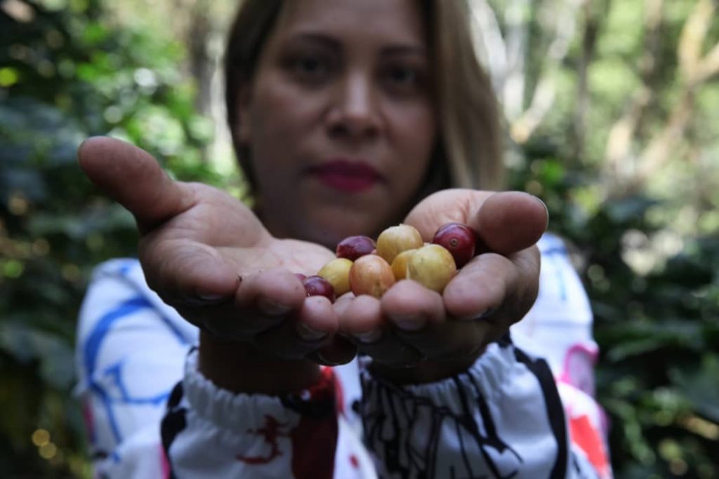 Emerilis García: Cafetalera que da la cara por la mujer mirandina en la finca Bosque de Luz