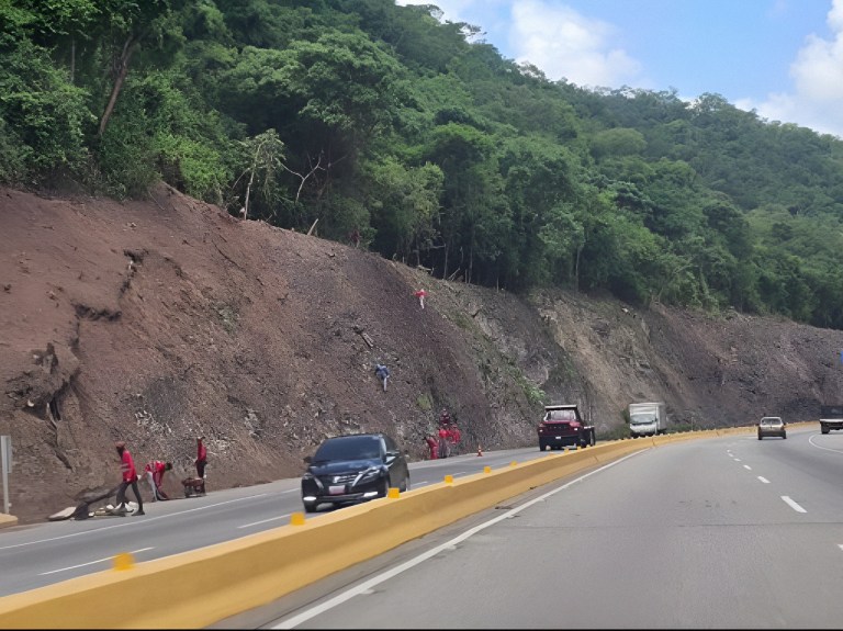 Organización ambiental alerta sobre deforestación en la ARC: “Puede causar erosión y colapso vial”