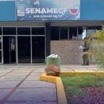 Joven Motorizado Fallece en Accidente en la Carretera Santa Teresa-Santa Lucía del Tuy