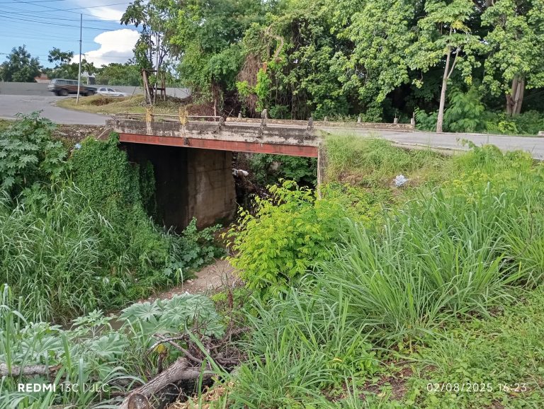 «Quejas, Casos y Cosas de mi Pueblo» El puente de Arandú pide auxilio: urge atención