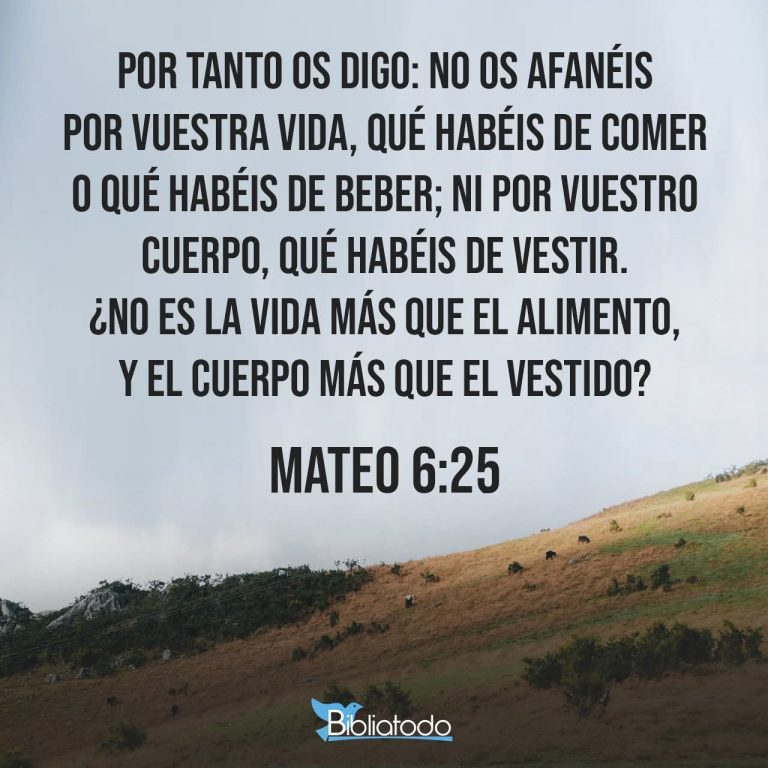 ANSIEDAD… No os afanéis por vuestra vida