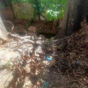 Restos de poda de CORPOELEC obstruyen quebrada en Ciudad Lozada