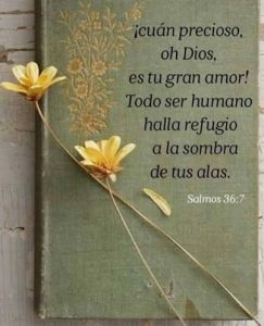 EXPERIMENTE SU PRESENCIA