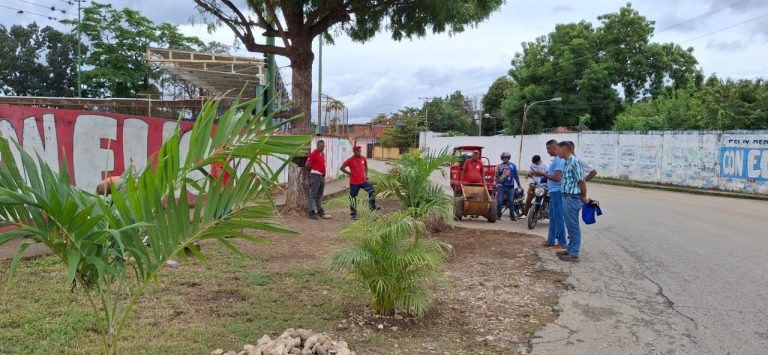 Con la siembra de árboles Alcaldía de Paz Castillo promueve políticas públicas Ecológicas en el municipio