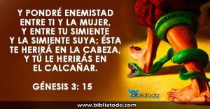 APLASTADOR DE  SERPIENTE