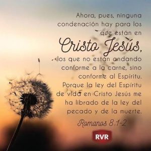 PARA QUE ANDEMOS EN EL ESPÍRITU