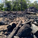 Retienen más de 13 toneladas de carbón vegetal procesado ilegalmente en el estado Miranda