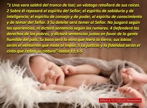 EL RETOÑO QUE TRAE JUSTICIA