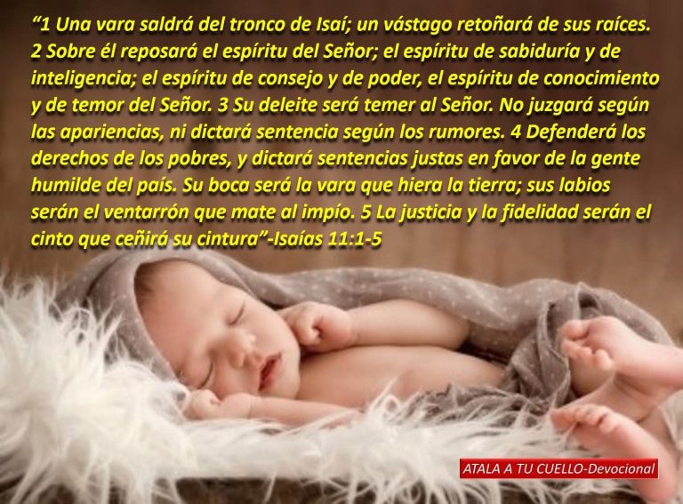 EL RETOÑO QUE TRAE JUSTICIA