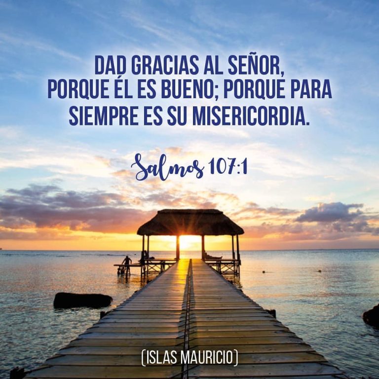 El ADN del gozo es la gratitud. ¿Has notado que la gente engreída y quejosa no es muy gozosa?