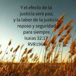 Si sientes que eres libre de la necesidad que antes tenías de buscar el éxito o de estar bien contigo mismo, es porque la gracia te ha visitado