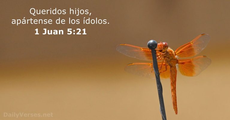 Tú y yo no necesitamos ser rescatados de los ídolos que nos rodean. No, necesitamos ser rescatados de nuestros propios corazones idólatras