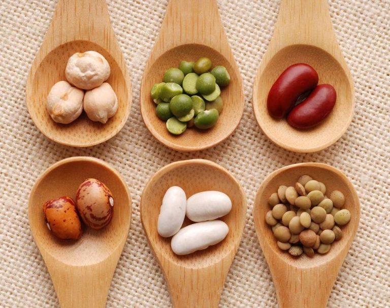 «Las legumbres del mundo: de la modestia a la excelencia»