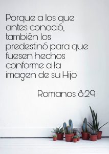 La gracia de Dios no solo te provee lo que necesitas, sino que también te transforma en lo que Él, en Su sabiduría, te destinó a ser