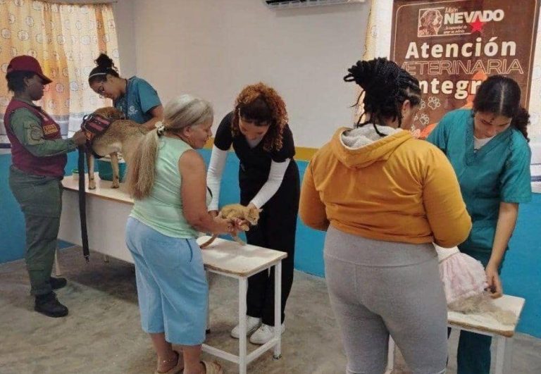 Misión Nevado vacuna a caninos y felinos en Charallave