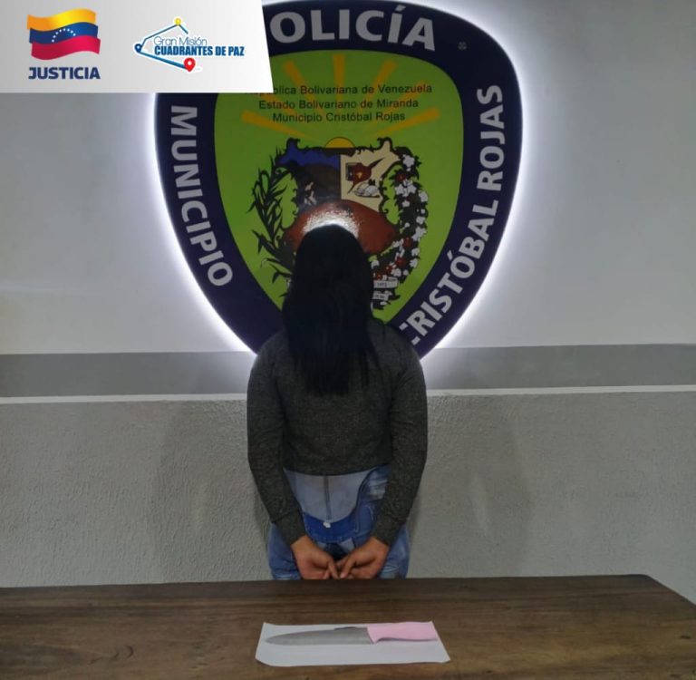 Detienen a una ciudadana por agredir a una mujer con un arma blanca