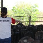 En Portuguesa: Fe y Alegría será sede de un encuentro clave para la innovación agropecuaria en Venezuela