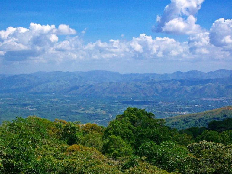 Impulsando proyecto científico-académico en la montaña de la Magdalena, patrimonio ecológico de los Valles del Tuy