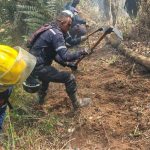 Bomberos de Miranda combaten incendio en el Parque Macarao