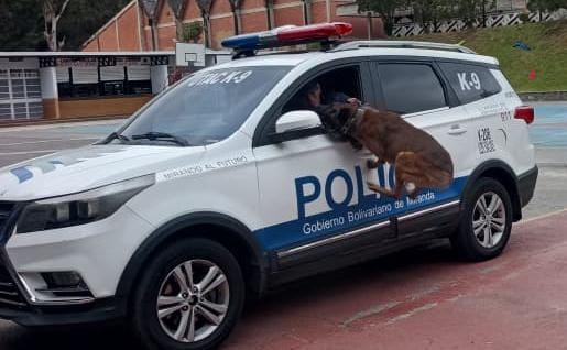 UTAC K9 y BAC de la Policía de Miranda arrestan a un sujeto con droga en Ocumare del Tuy
