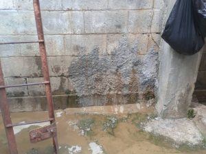 Pantano de aguas negras consume la manzana 8 de Cecilio Acosta en el municipio Independenca