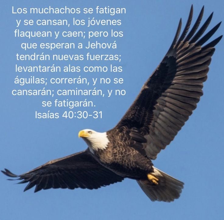 ‎Hoy enfrentarás cosas que te confundirán, pero descansa seguro en que Aquel que gobierna todas las cosas no está confundido