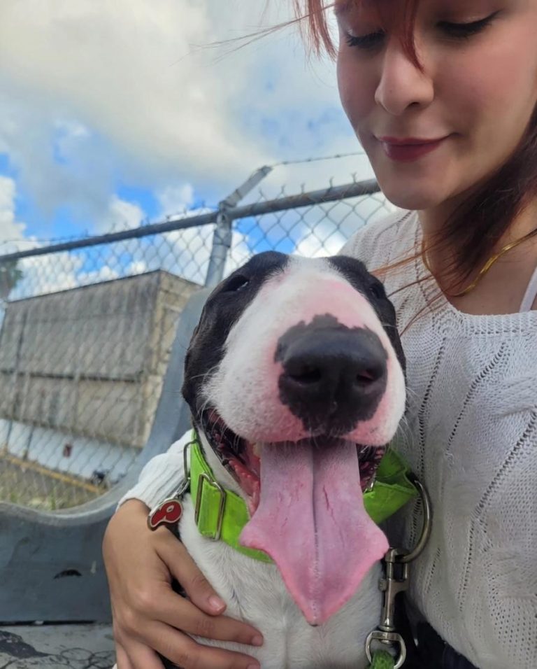 El latido animal de Guaicaipuro: Crónicas de una protección que no se detiene