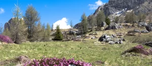 «La adversidad» Lo que aprendemos en las aguas turbulentas