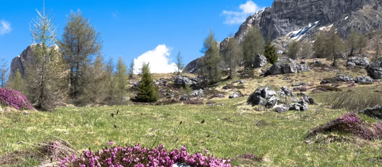 «La adversidad» Lo que aprendemos en las aguas turbulentas