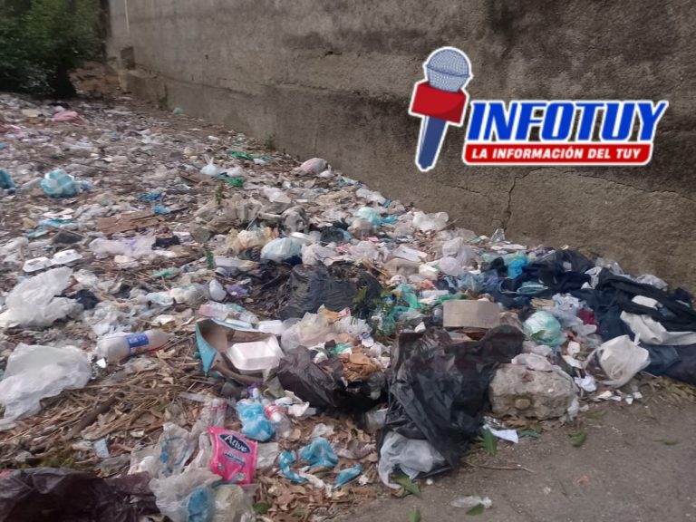 Terreno en la Av. Monseñor Pellín se convierte en «foco infeccioso»