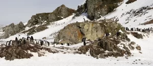 El fruto espiritual de la paciencia