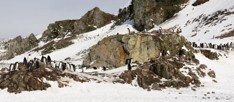 El fruto espiritual de la paciencia