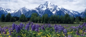 El enemigo de la seguridad