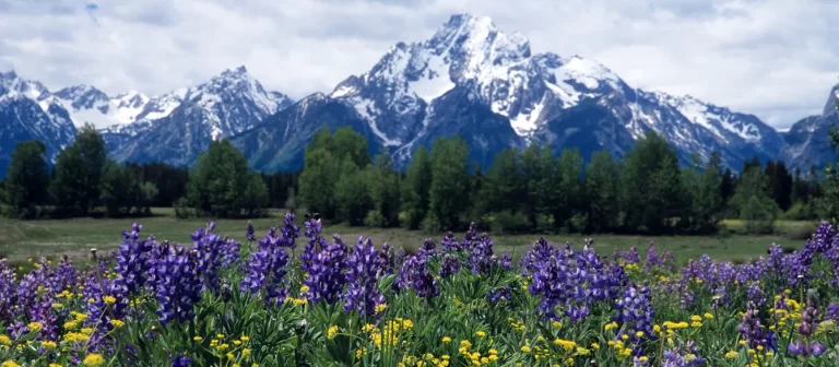 El enemigo de la seguridad