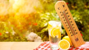Te invito a conocer los mejores alimentos para esta ola de calor