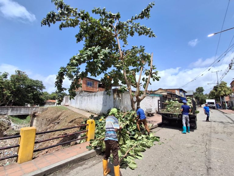 Paz Castillo ejecuta plan de poda preventiva y limpieza de quebrada en el sector La Vega