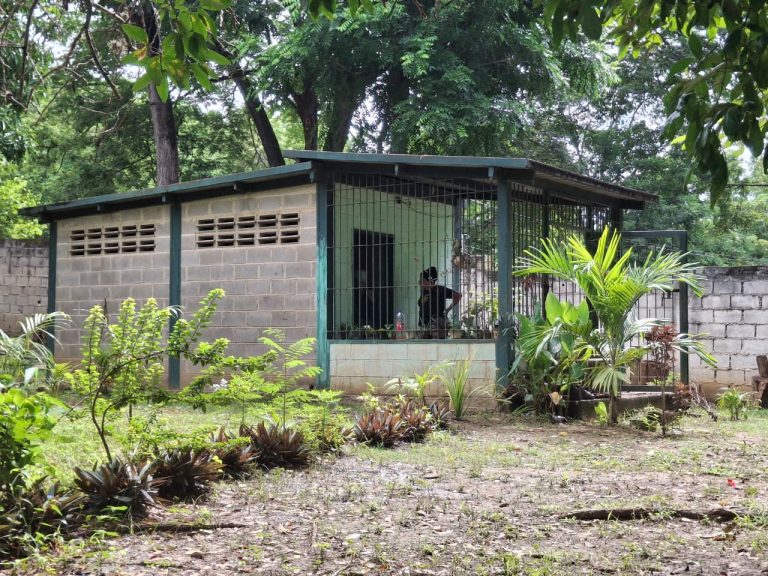 Acondicionan vivero municipal de Paz Castillo para la producción de plantas medicinales, forestales, ornamentales y frutales