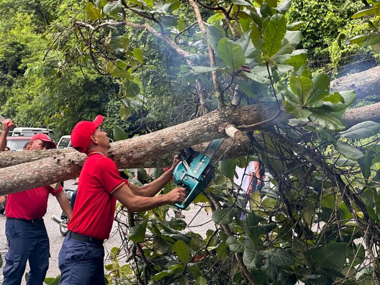 En Santa Lucía del Tuy despliegan atención por derrumbes y anegaciones tras el paso de la Onda Tropical N° 28