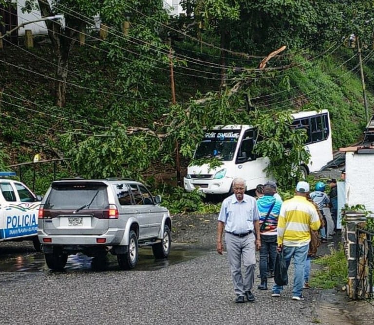 Lluvias derriban árbol sobre unidad Paracotos–Charallave en parada cercana a la iglesia