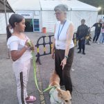 Se han rescatado más de 600 mascotas entre los escombros tras el doblete sísmico