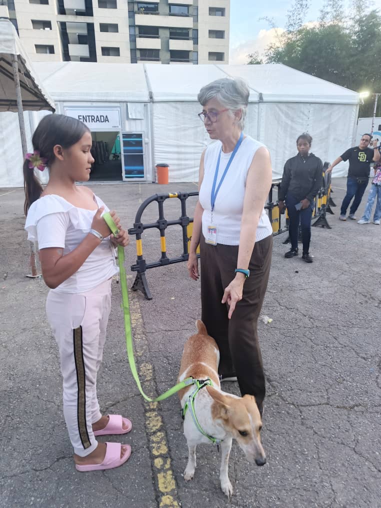 Se han rescatado más de 600 mascotas entre los escombros tras el doblete sísmico