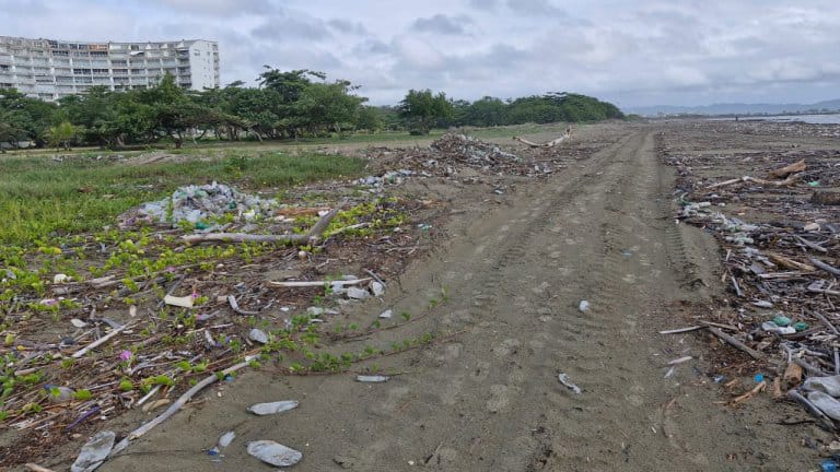 Denuncian acumulación de basura en costa mirandina por desembocadura del Tuy